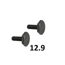 2x Schraube Nockenwelle für