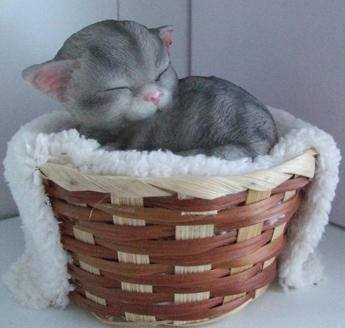 Kitten inside blanket best - blanket, of