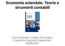 Economia aziendale. Teorie e