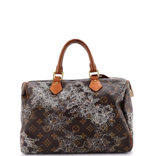 Louis vuitton speedy handbag - louis,