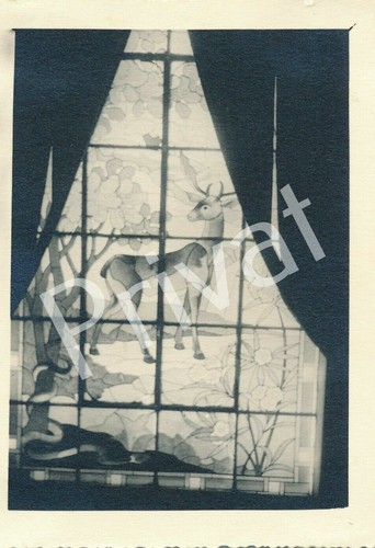 Foto vetrata artistica - vetrata,