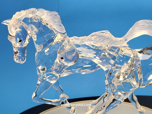 Swarovski cavalli selvatici - swarovski,