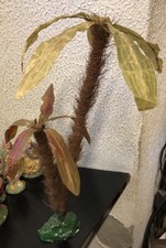 Palma Per Diorama Presepe