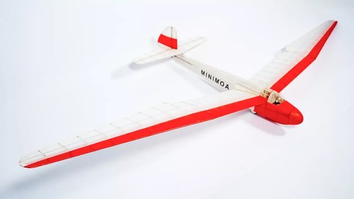 Tony ray minimoa - ray, 1,4