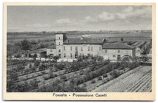 CARTOLINA DI FERRARA ,FOSSALTA