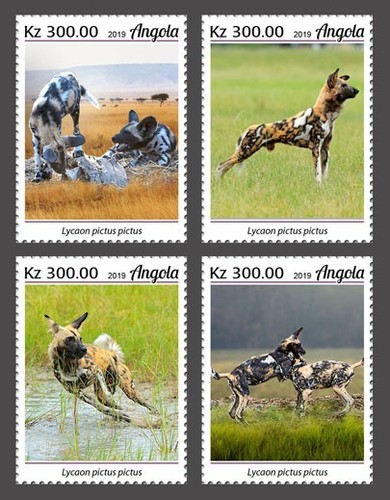 2019 angola berretto - angola,