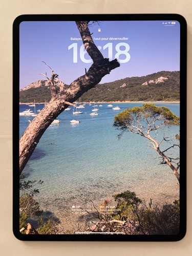 Ipad pro pollici - pro,