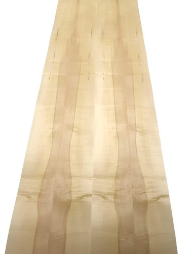 Furniere legno acero - in,