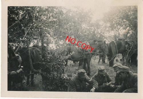Foto antik wehrmacht - foto,
