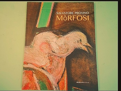 Morfosi provino - morfosi,