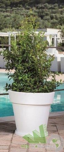 Vaso per fiori - vaso, piante