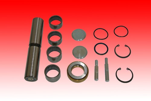 Riparazione set perno - -,