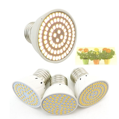Lampadina led luce crescita - lampadina,