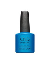 ** SHELLAC WHAT'S OLD IS BLUE