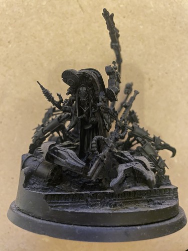 Anacharis scoria tiranno - anacharis, il