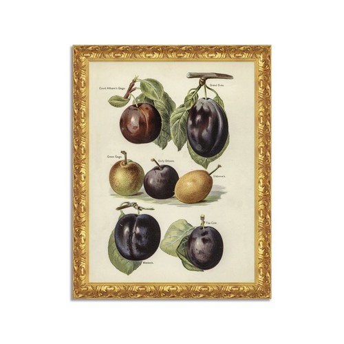 Quadro stampa tela effetto - stampa,