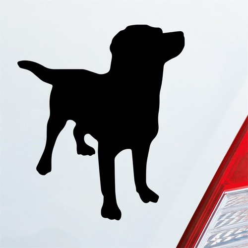 Adesivo auto labrador labbi - adesivo,