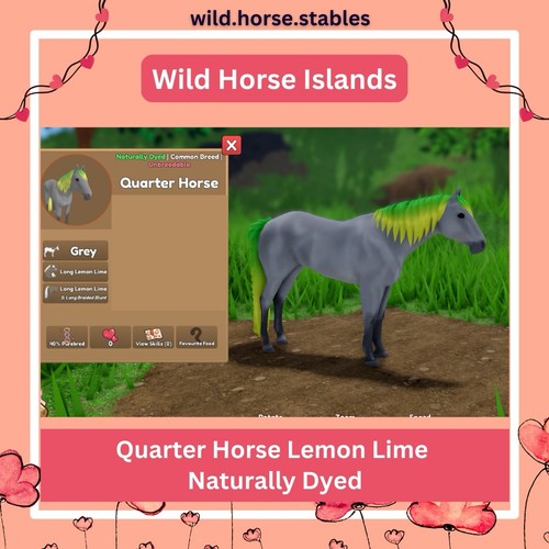 Wild horse islands - wild,