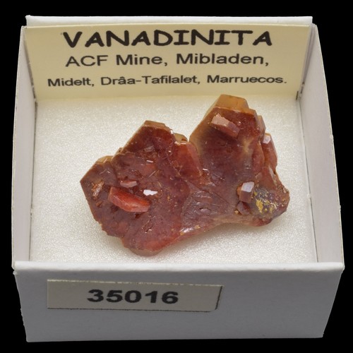 Vanadinita acf mine - vanadinita,