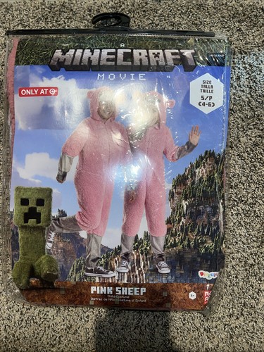 Costume minecraft - costume,