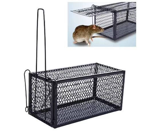 Trappola per topi - trappola,