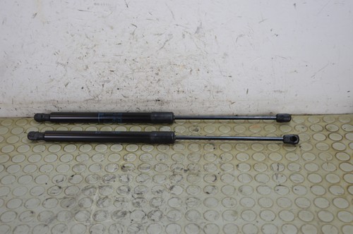 26930 coppia pistoncini - coppia,