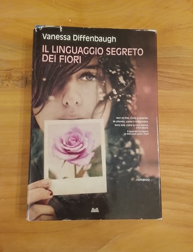 Vanessa diffenbaugh il - vanessa,