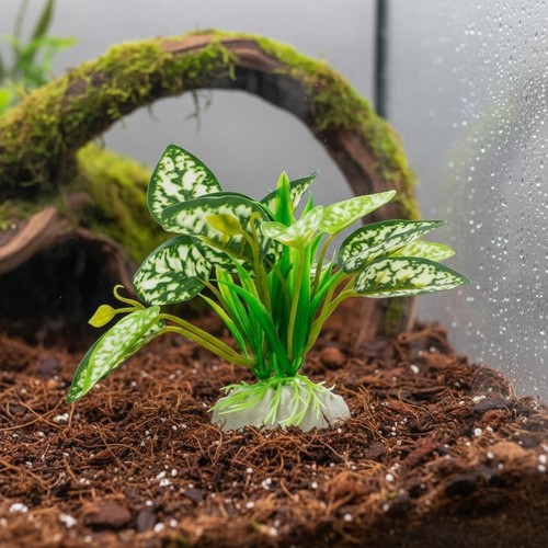 Ornamento terrario - ornamento, da