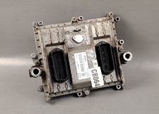 Hino Fear Professionale