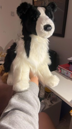 Peluche cane border collie - cane,