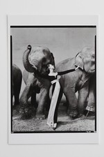 RICHARD AVEDON: " DOVIMA,DRESS