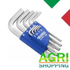 Serie da 9 chiavi maschio