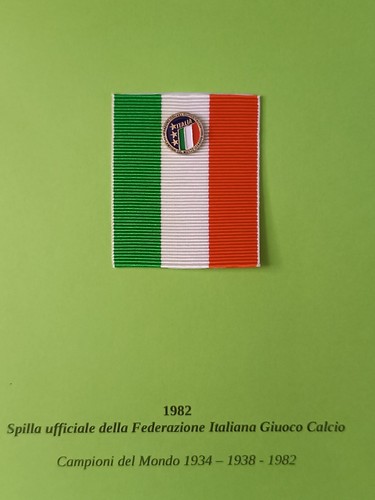 Spilla ufficiale federazione - spilla,