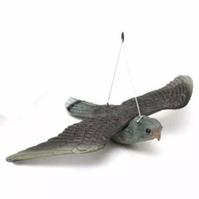 Falco finto spaventapasseri - falco,