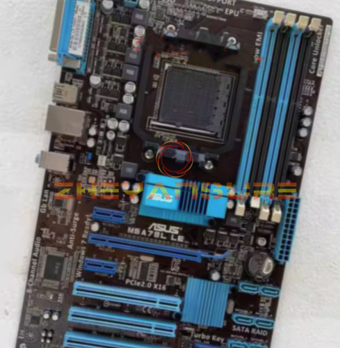 Scheda madre asus - scheda,