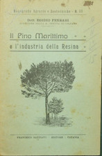 Il pino marittimo e l'industria della resina