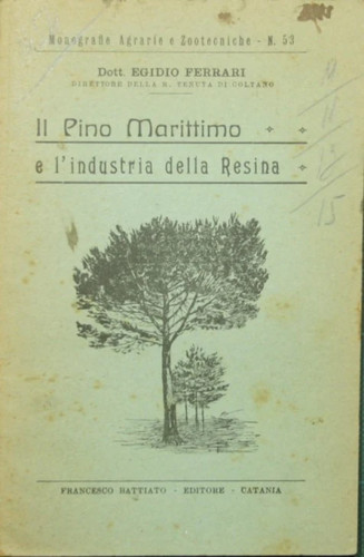 Pino marittimo e - pino,