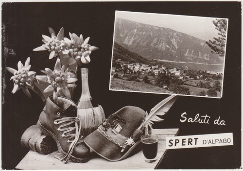 Saluti spert alpago - saluti, d'alpago