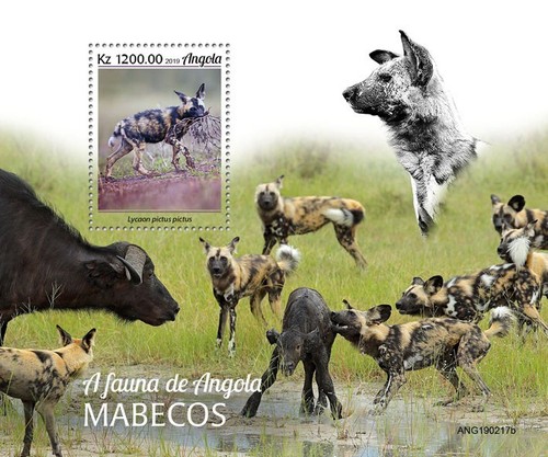 2019 angola berretto - -,