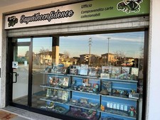 MTG - COMPRO - carte magic