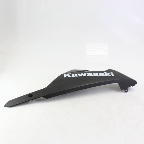 Pancia destra kawasaki - pancia, ninja