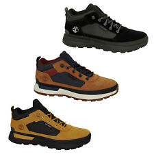 Timberland Field Trekker Low