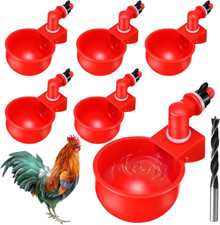 6 Abbeveratoio Automatico