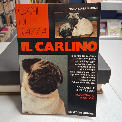 Carlino cani razza - il,