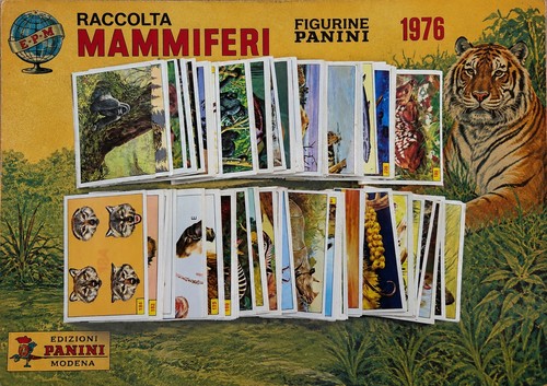 Lotto figurine panini - 95,