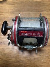 Mulinello PENN Special Senator