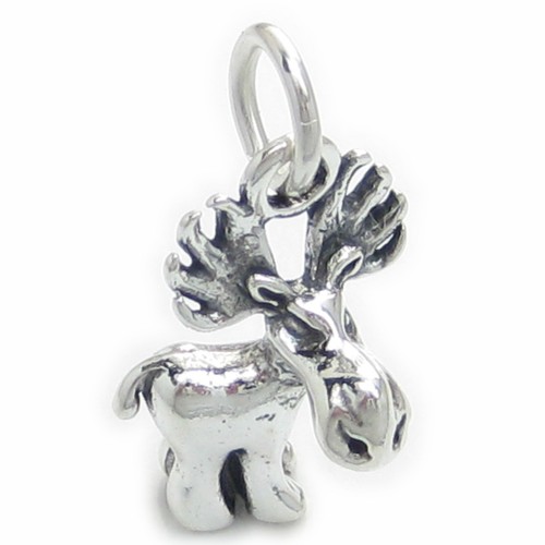 Ciondolo argento sterling - ciondolo, in