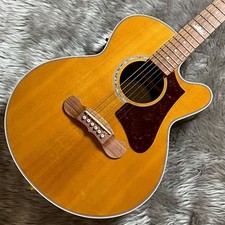 Epiphone EJ-200 Coupè