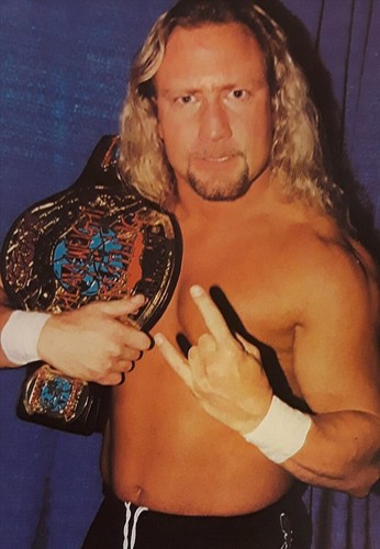 Wrestling superstars jerry - superstars, - 