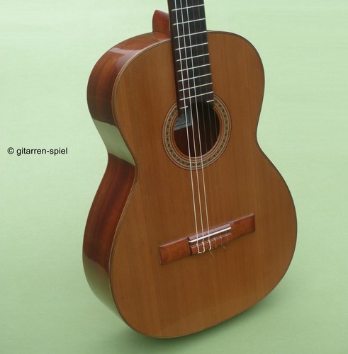 Elegante chitarra concerto - elegante, da
